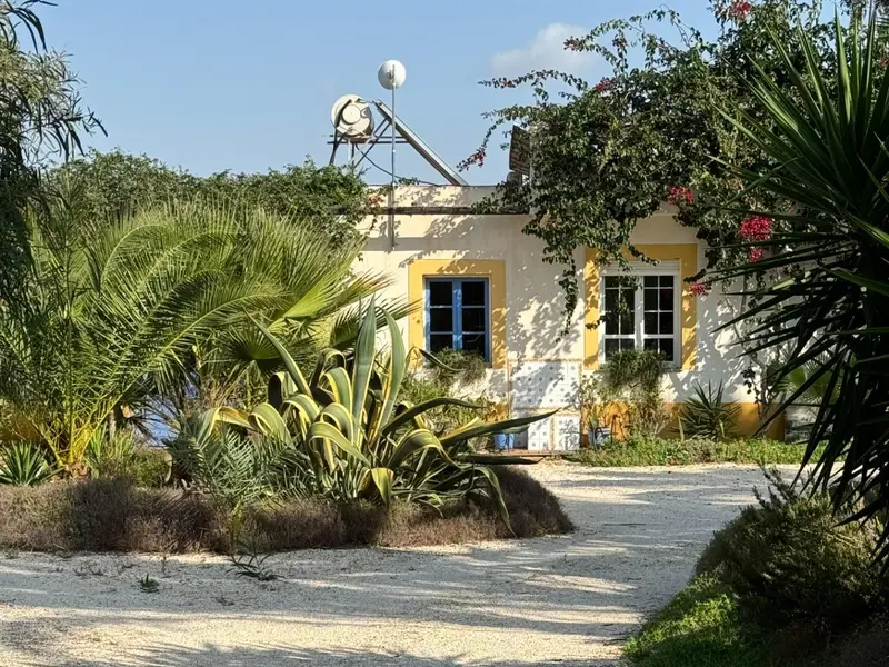 Landhuis met 5 slaapkamers in Elche, Costa Blanca — foto 5 van 8