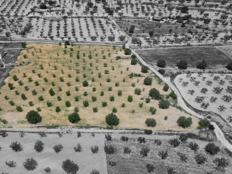 Land in La Romana, Costa Blanca — photo 4 of 16