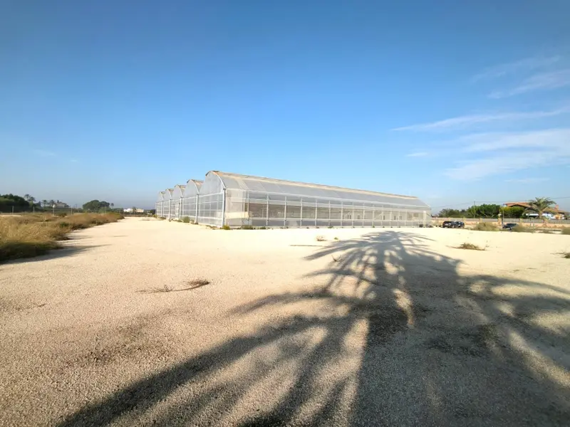 Landhuis in Elche, Costa Blanca — foto 18 van 30