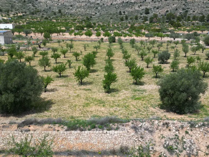 Land in La Romana, Costa Blanca — photo 13 of 16