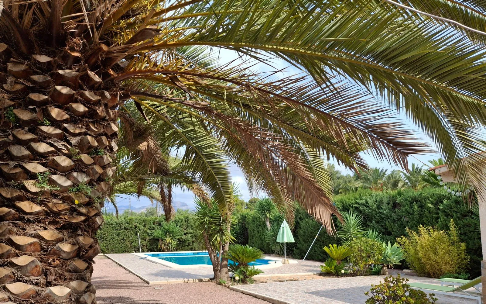 Villa mit 4 Schlafzimmern in Novelda, Costa Blanca — Foto 1 von 30