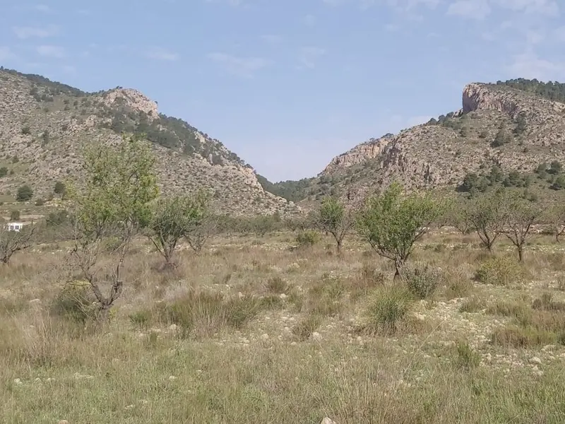 Terreno en Desconocido, Costa Blanca — foto 8 de 11