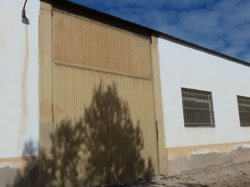 Local comercial en Dolores, Costa Blanca — foto 27 de 30