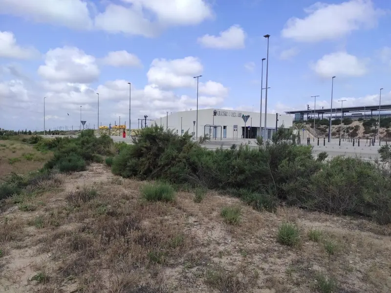 Maison de campagne à Elche, Costa Blanca — photo 2 sur 22