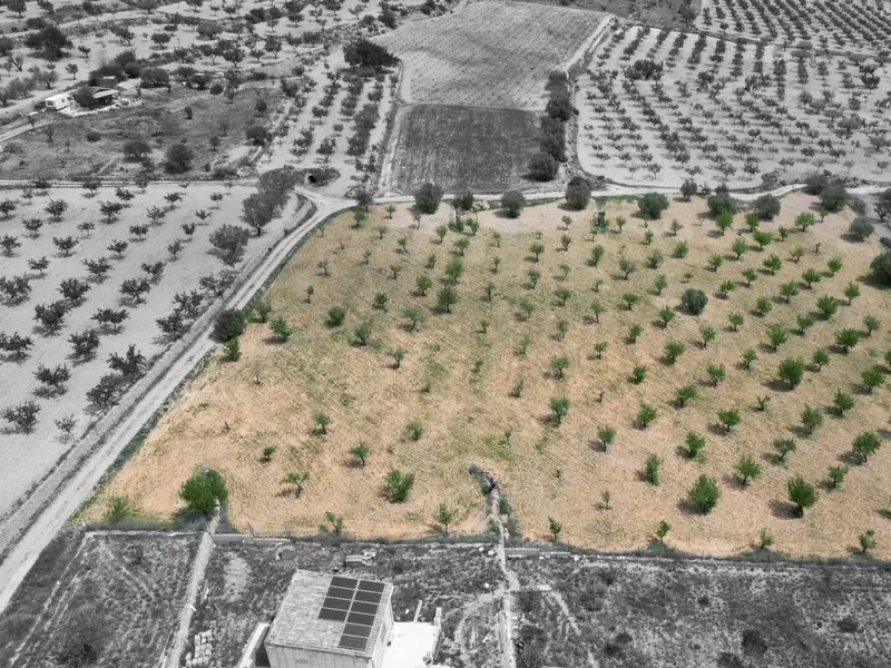 Land in La Romana, Costa Blanca — photo 5 of 16