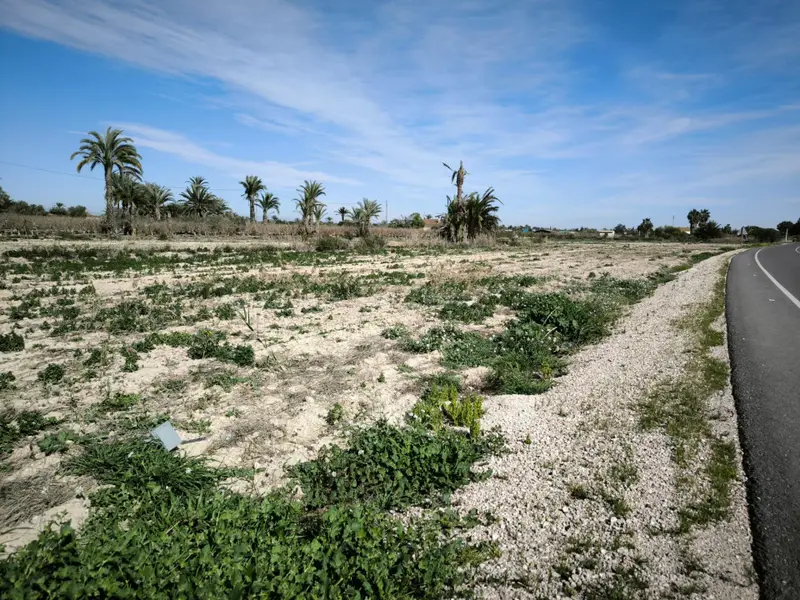Заміський будинок у Elche, Коста-Бланка — фото 8 з 19