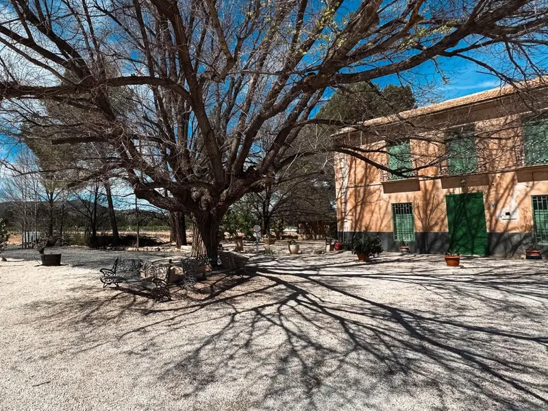 Villa mit 2 Schlafzimmern in Monóvar, Costa Blanca — Foto 14 von 30