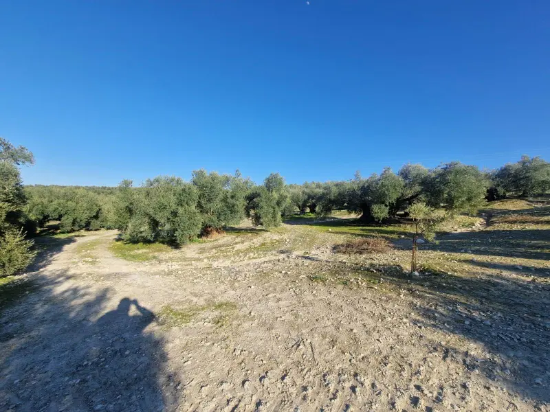 Загородный дом en Desconocido, Costa Blanca — фото 10 из 15