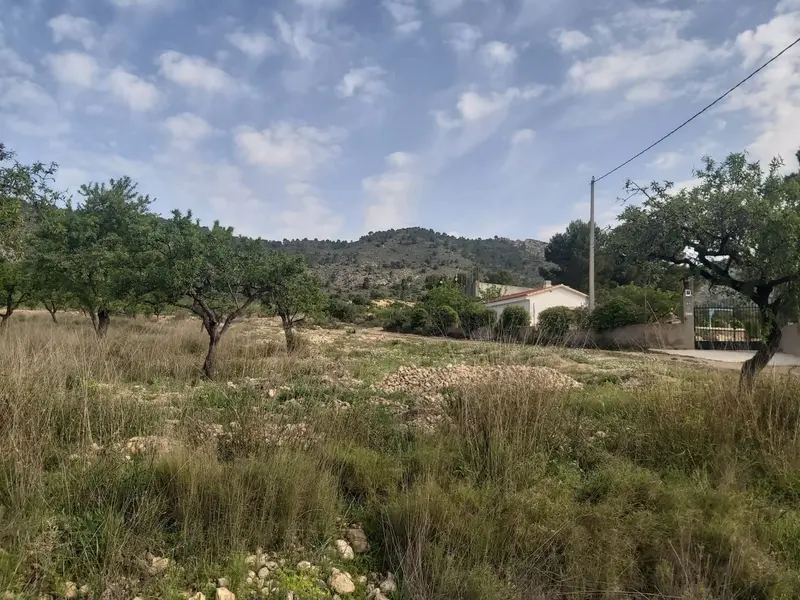Terreno en Desconocido, Costa Blanca — foto 9 de 11