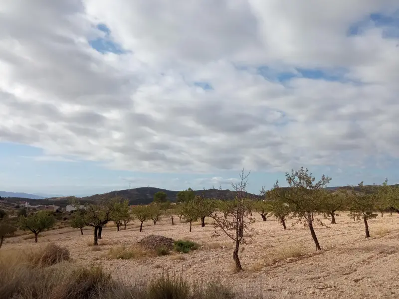 Land in Abanilla, Costa Blanca — photo 2 of 4