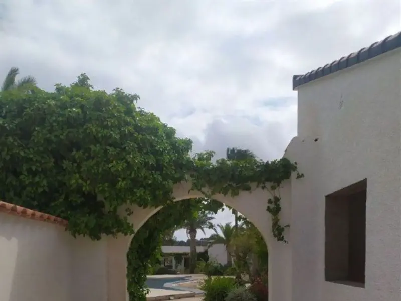 Bedrijfsruimte in Alfaz del Pi, Costa Blanca — foto 13 van 13