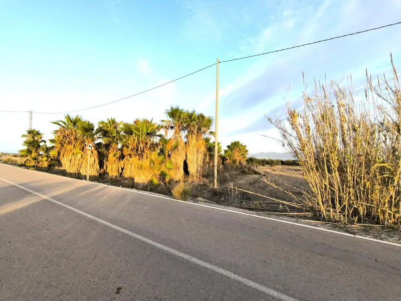 Landhaus in San Fulgencio, Costa Blanca — Foto 21 von 30