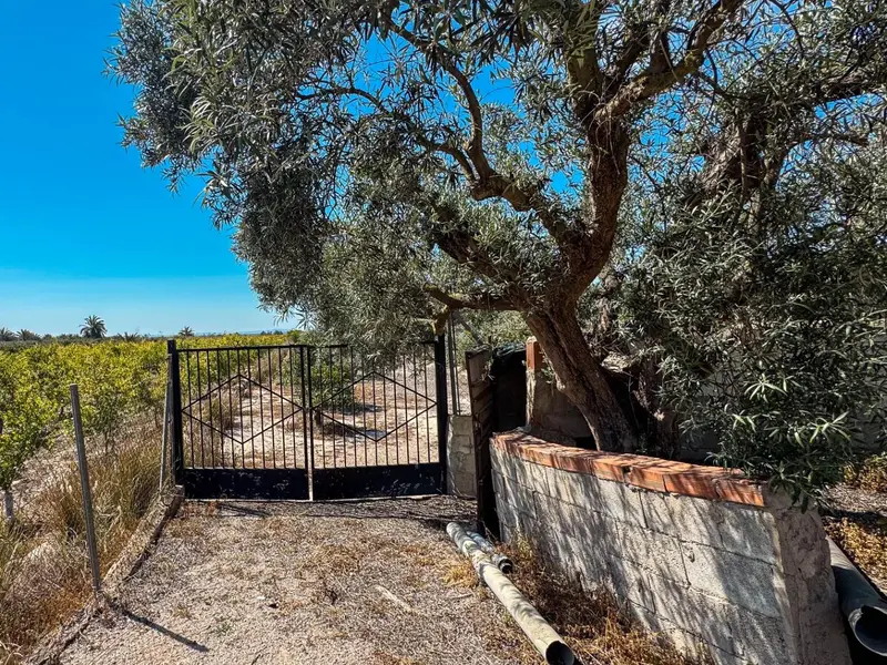 Casa de campo en Crevillent, Costa Blanca — foto 18 de 30