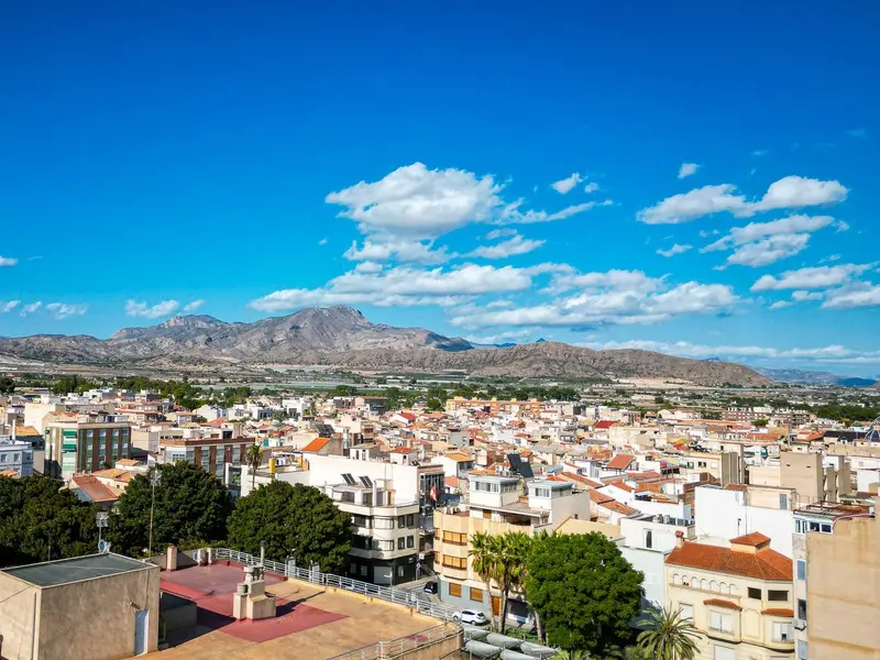 Villa with 6 bedrooms in Novelda, Costa Blanca — photo 9 of 30