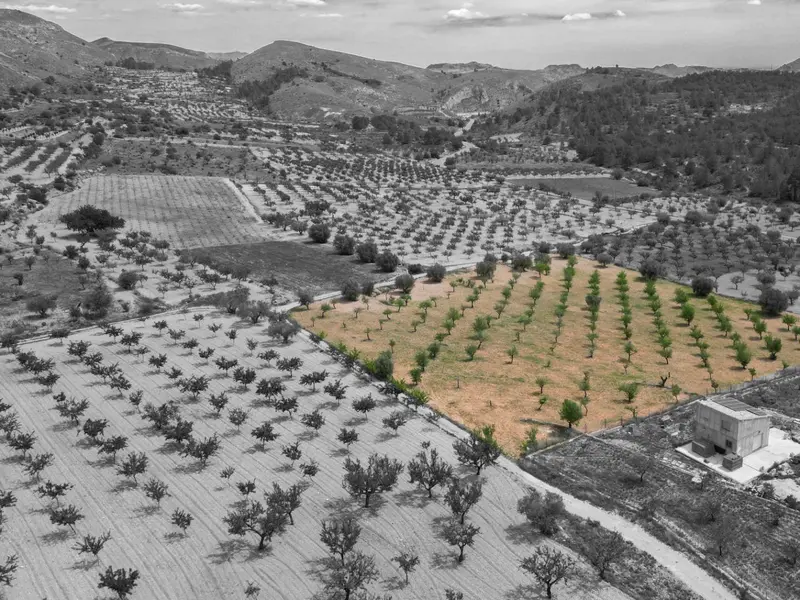 Land in La Romana, Costa Blanca — photo 7 of 16