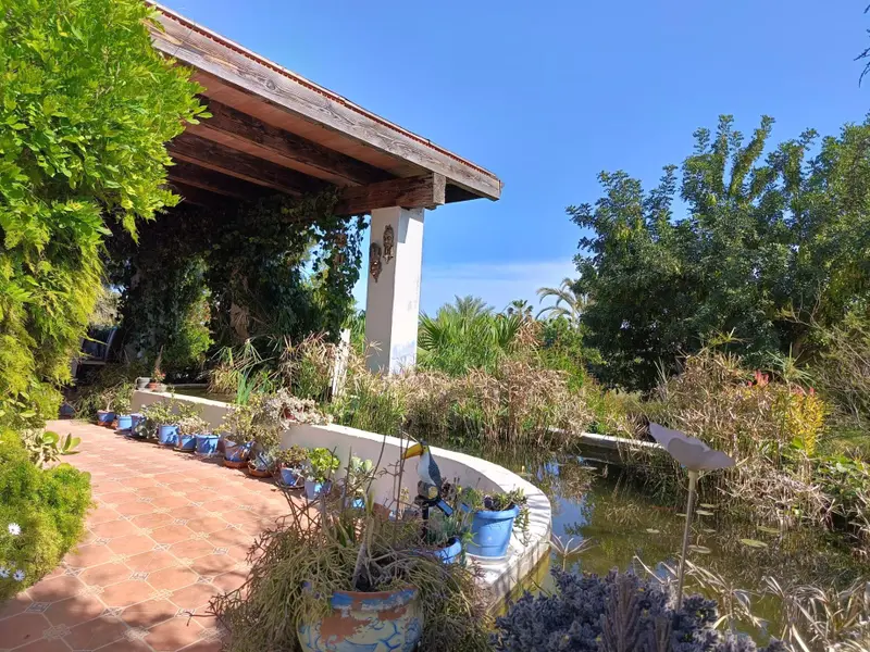 Загородный дом de 5 dormitorios en Elche, Costa Blanca — фото 4 из 30