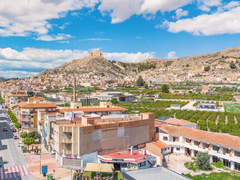 Bedrijfsruimte met 21 slaapkamers in Mula, Costa Blanca — foto 2 van 30