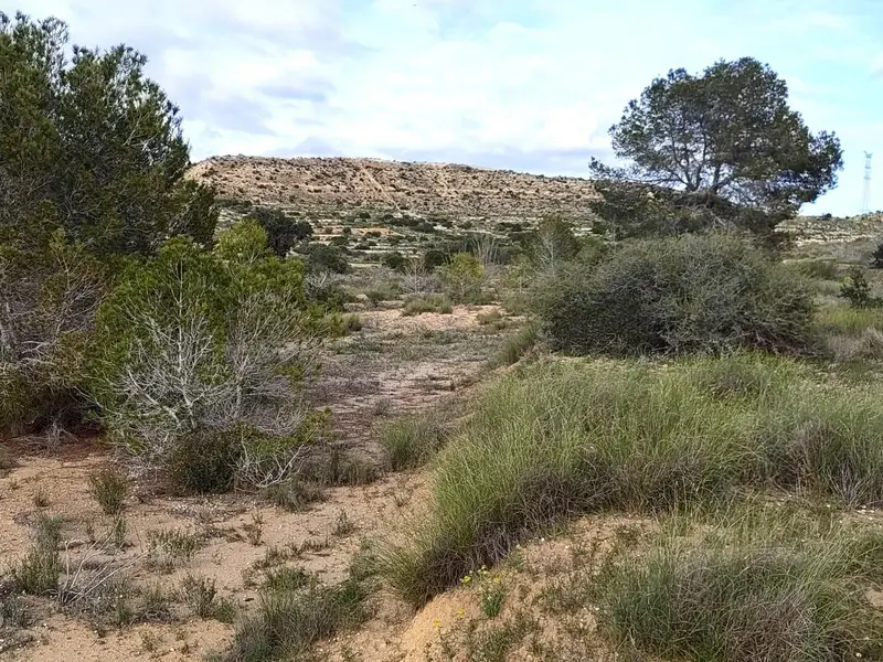 Casa de campo en Elche, Costa Blanca — foto 2 de 8