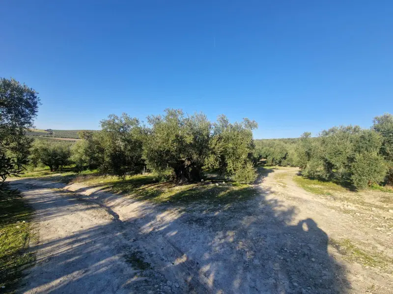 Загородный дом en Desconocido, Costa Blanca — фото 11 из 15