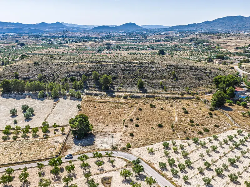 Участок en Monóvar, Costa Blanca — фото 2 из 15