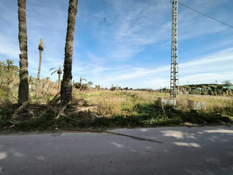 Заміський будинок у Elche, Коста-Бланка — фото 12 з 19