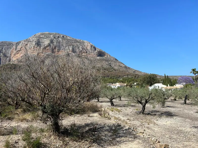 Земельна ділянка у Jávea, Коста-Бланка — фото 1 з 10