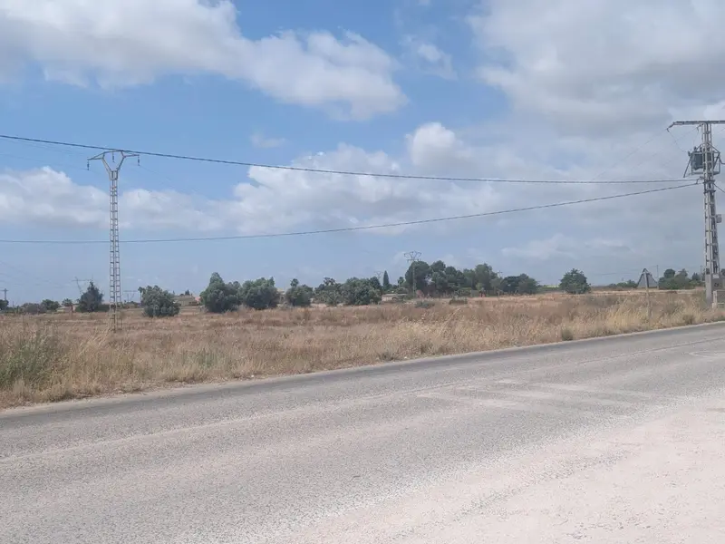 Terreno en Elche, Costa Blanca — foto 2 de 10