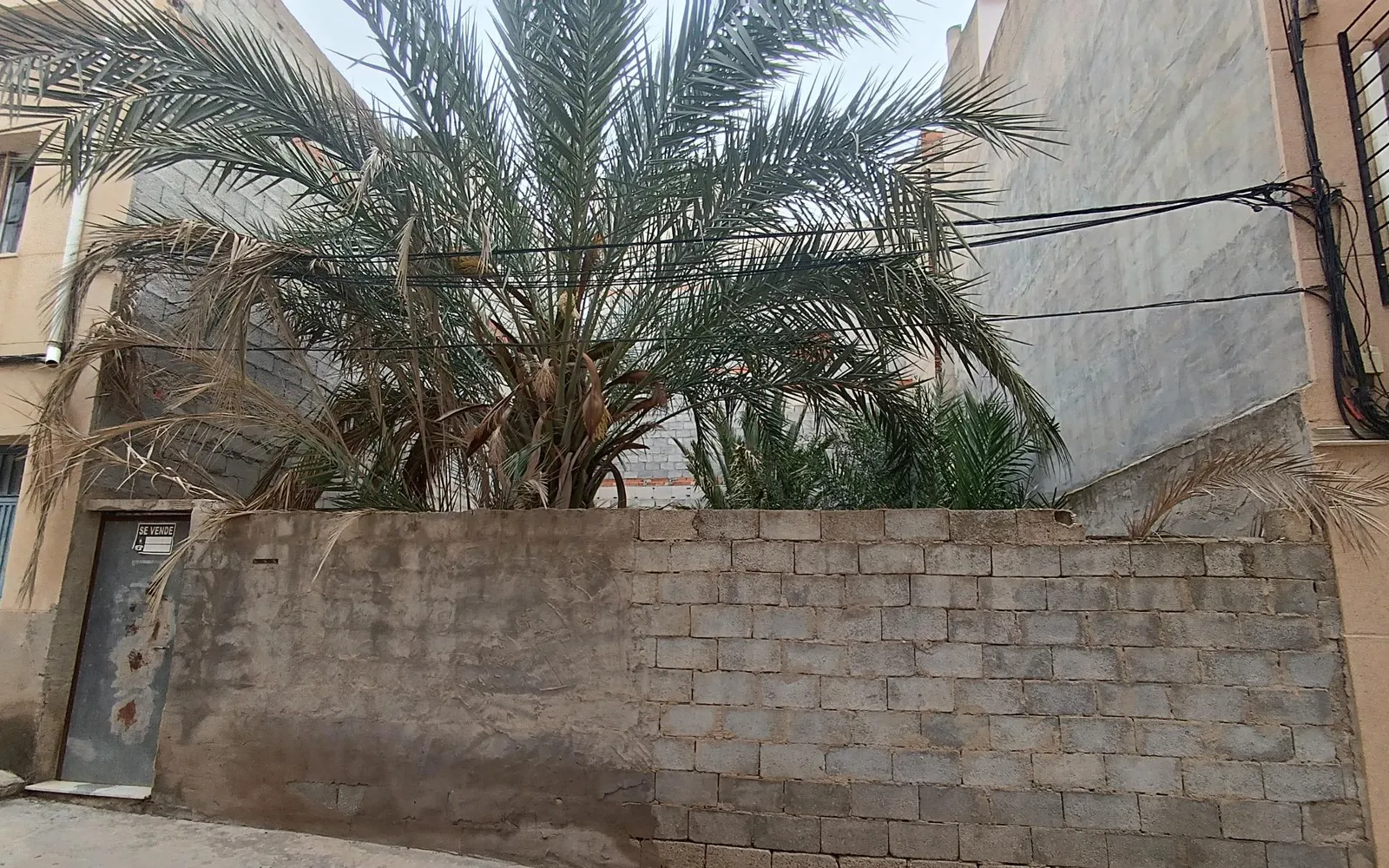 Terreno en Abanilla, Costa Blanca — foto 1 de 4