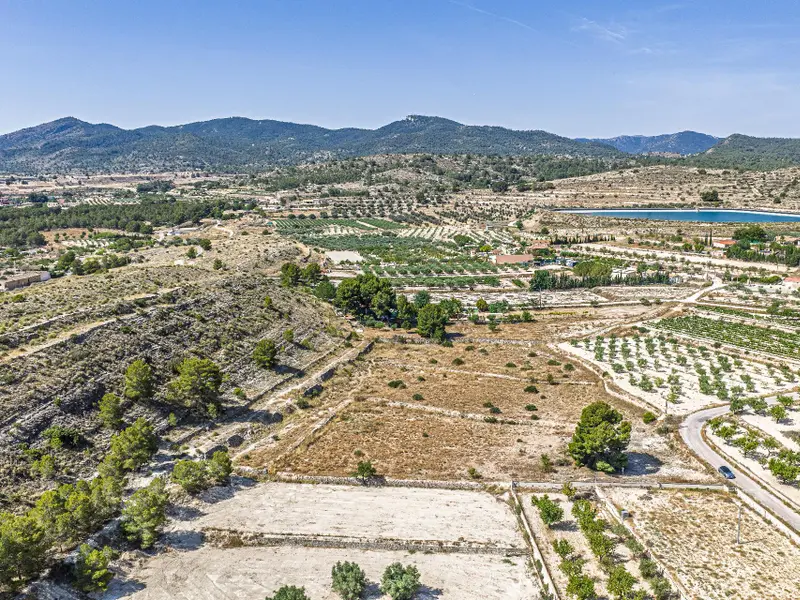 Участок en Monóvar, Costa Blanca — фото 6 из 15