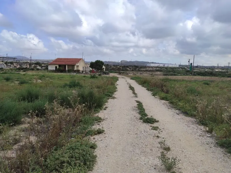 Maison de campagne à Elche, Costa Blanca — photo 7 sur 22