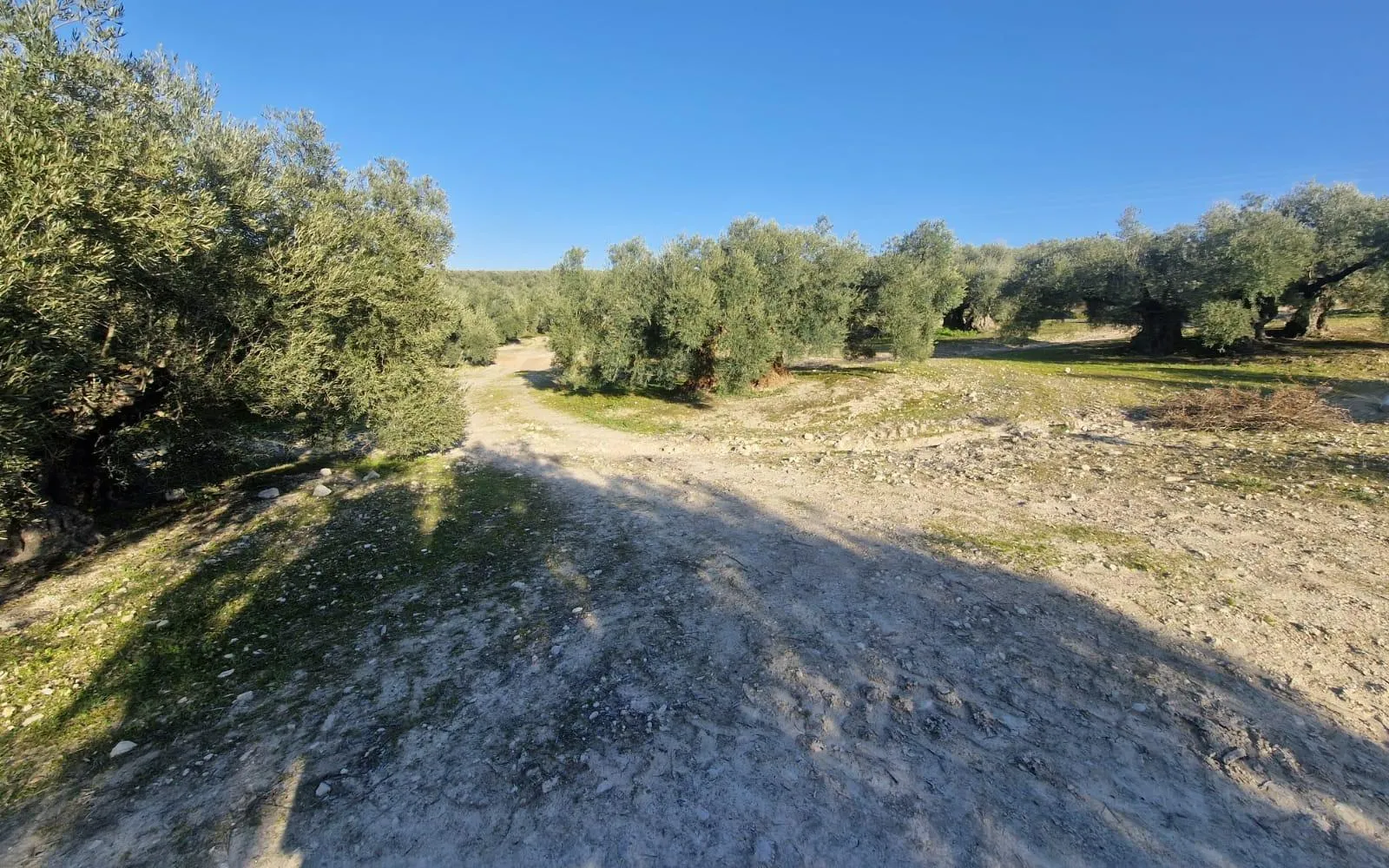 Загородный дом en Desconocido, Costa Blanca — фото 1 из 15