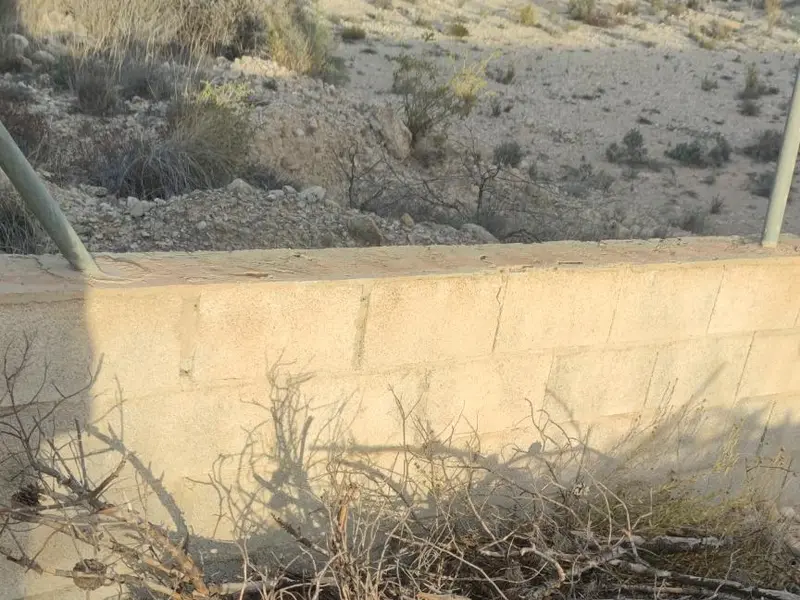 Land in Elche, Costa Blanca — photo 13 of 14