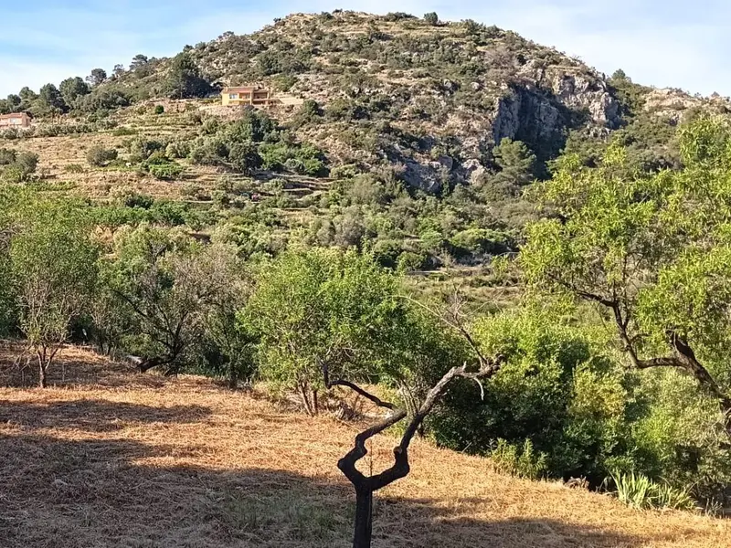Casa de campo en Desconocido, Costa Blanca — foto 6 de 15