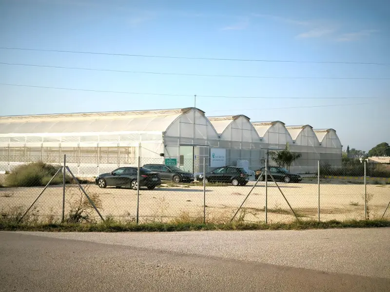 Landhuis in Elche, Costa Blanca — foto 2 van 30