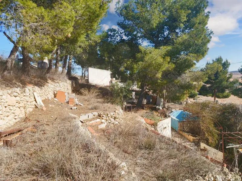 فيلا de 5 dormitorios en Pinoso, Costa Blanca — صورة 17 من 30