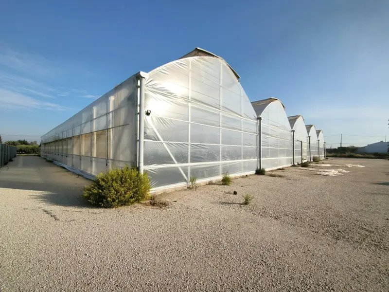 Landhuis in Elche, Costa Blanca — foto 20 van 30