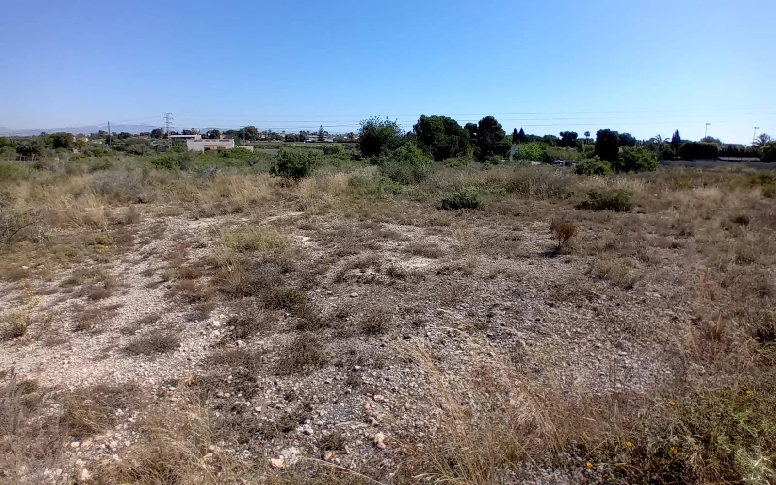 Landhuis in Elche, Costa Blanca — foto 1 van 10