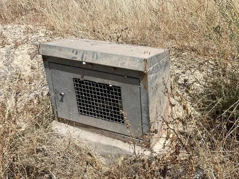 Terreno en Elche, Costa Blanca — foto 5 de 10