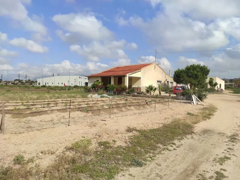 Maison de campagne à Elche, Costa Blanca — photo 11 sur 22