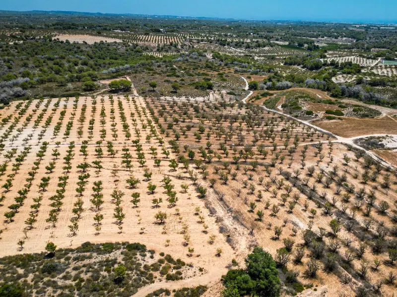 Maison de campagne à Desconocido, Costa Blanca — photo 1 sur 6