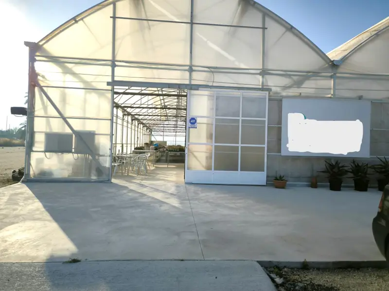 Landhuis in Elche, Costa Blanca — foto 27 van 30