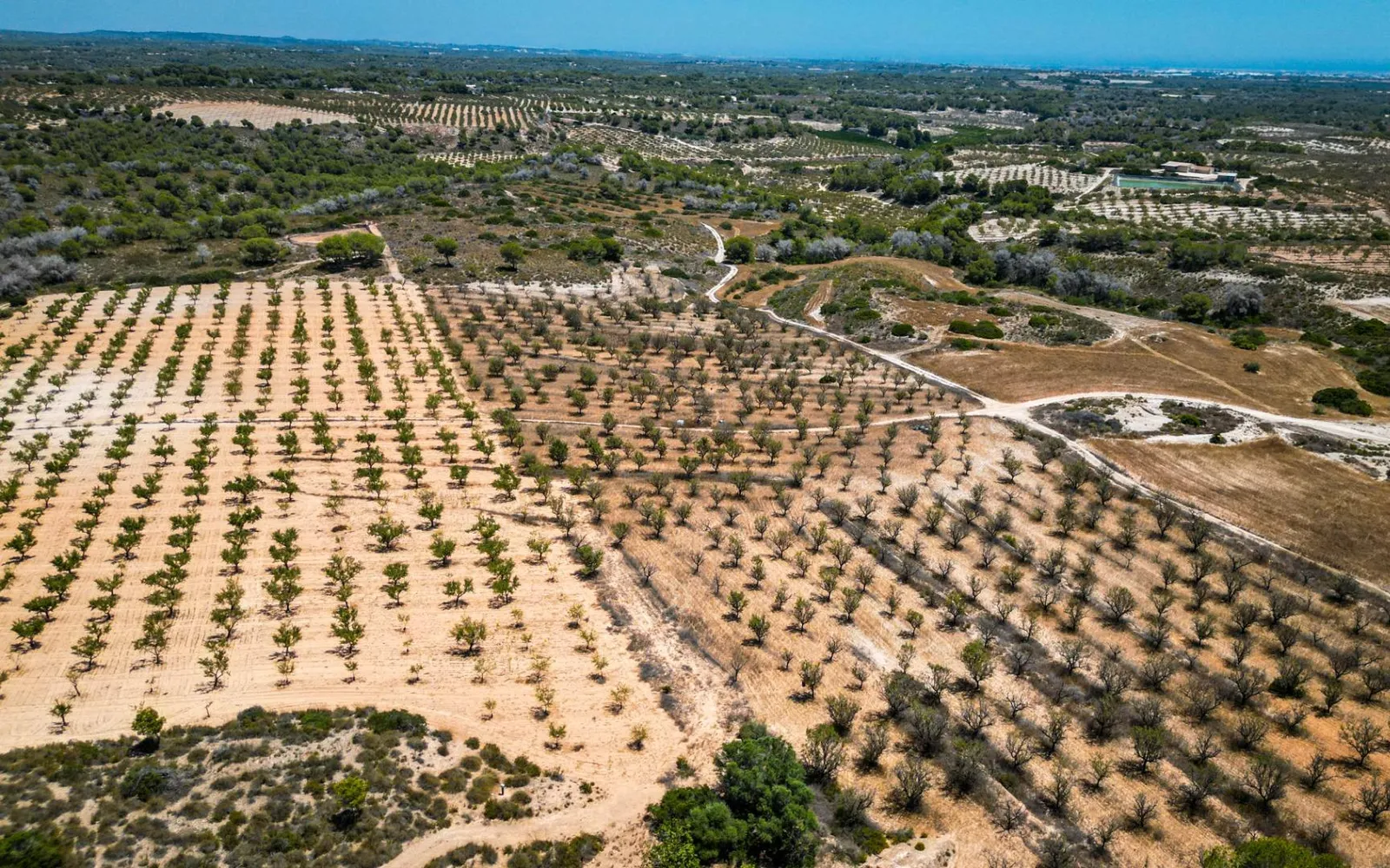 Maison de campagne à Desconocido, Costa Blanca — photo 1 sur 6
