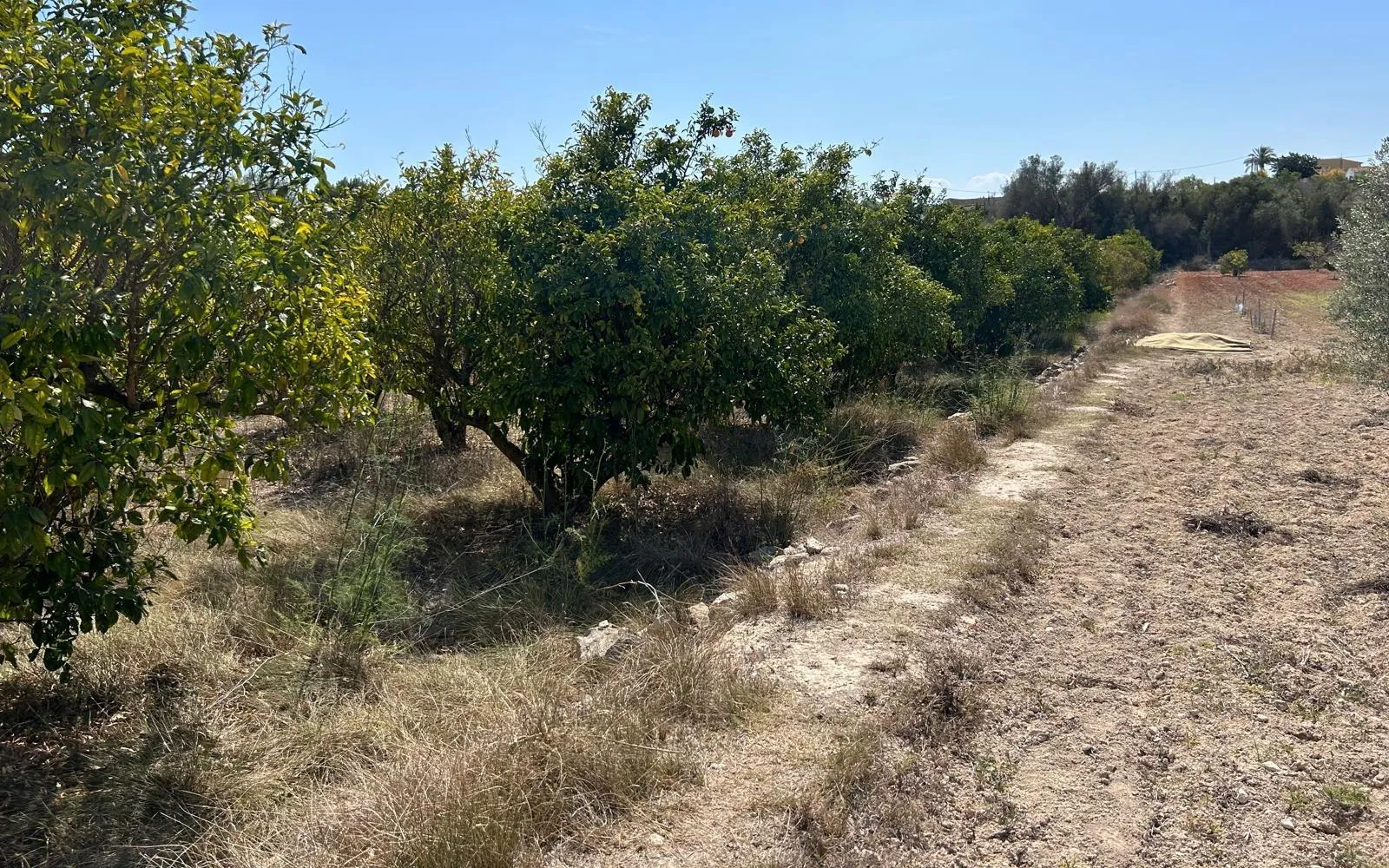 Grundstück in Jávea, Costa Blanca — Foto 1 von 9