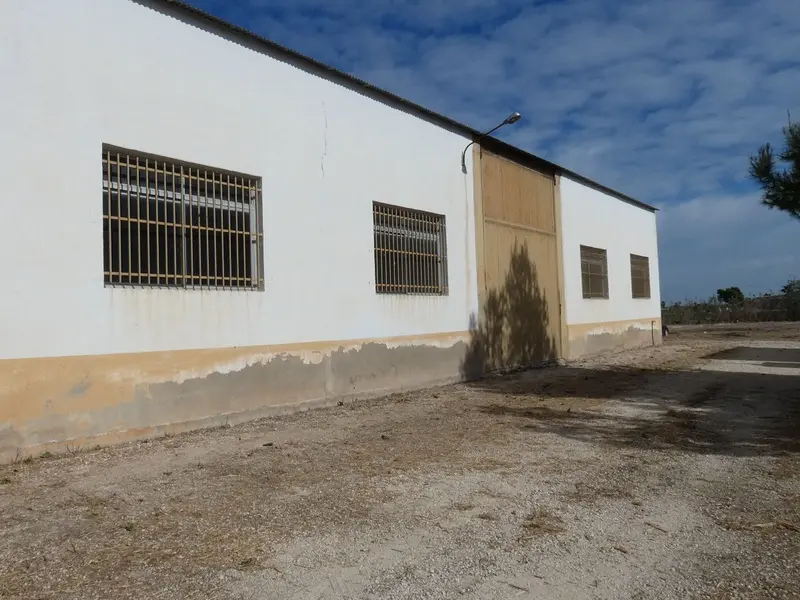 Local comercial en Dolores, Costa Blanca — foto 26 de 30