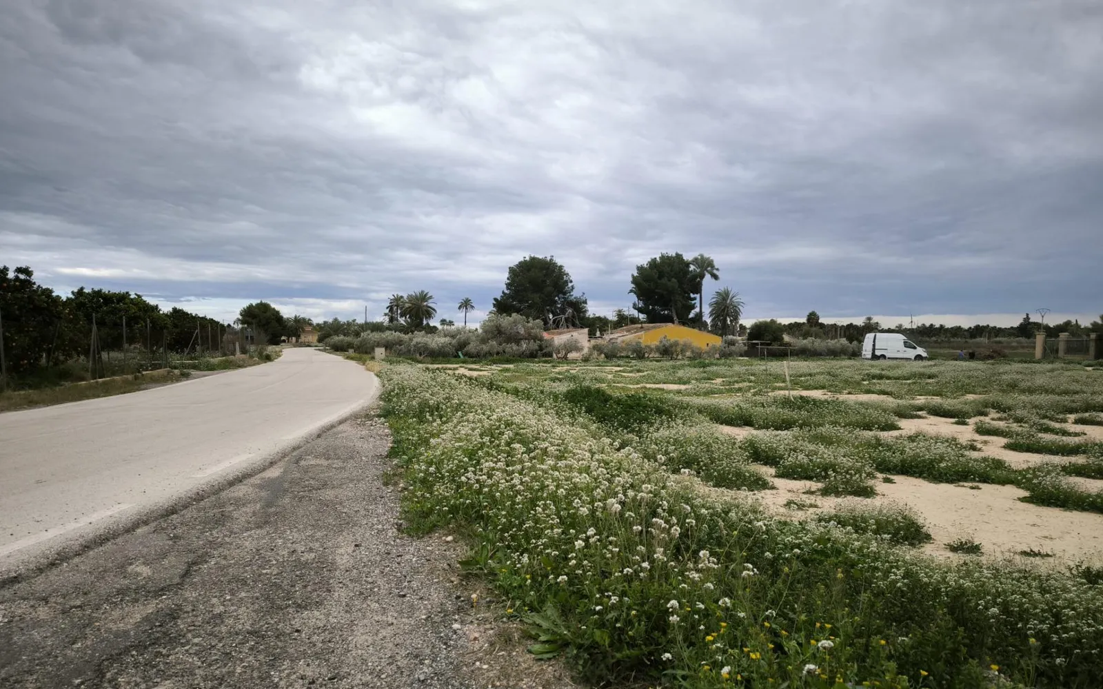 Maison de campagne à Elche, Costa Blanca — photo 1 sur 19