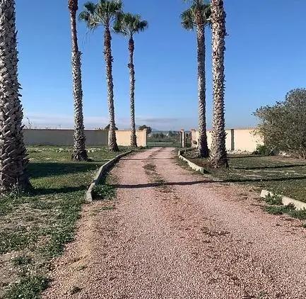 Villa de 4 dormitorios en Dolores, Costa Blanca — foto 23 de 30