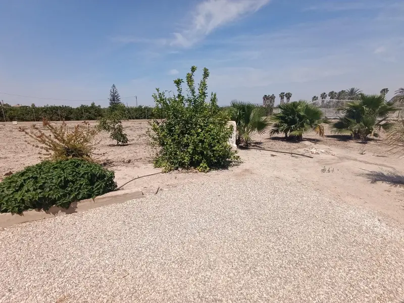 فيلا de 7 dormitorios en Elche, Costa Blanca — صورة 25 من 30