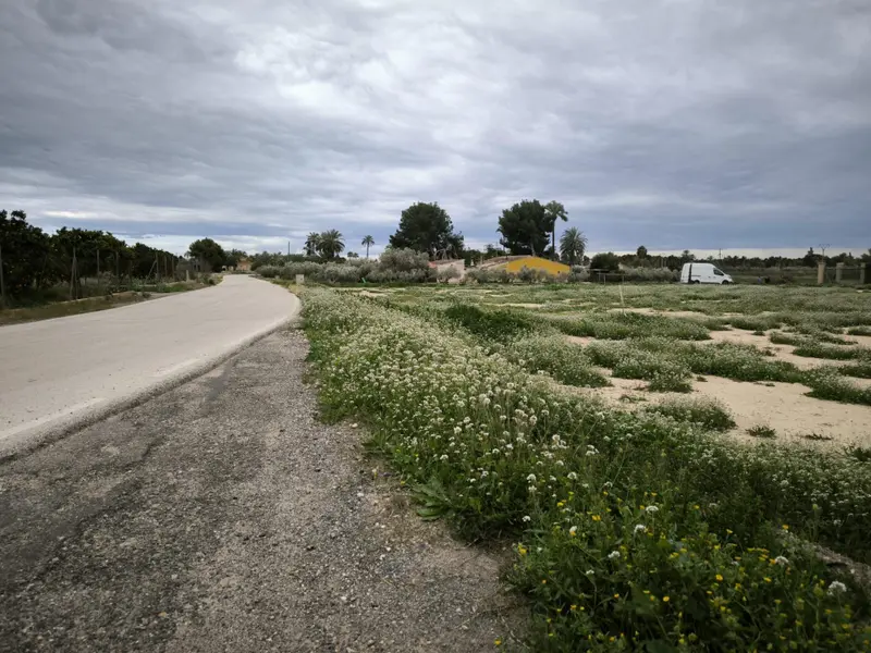 Casa de campo en Elche, Costa Blanca