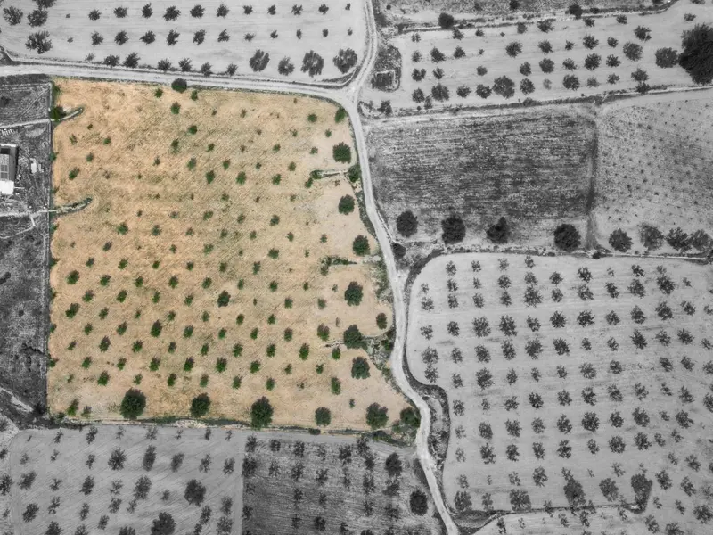 Land in La Romana, Costa Blanca — photo 2 of 16