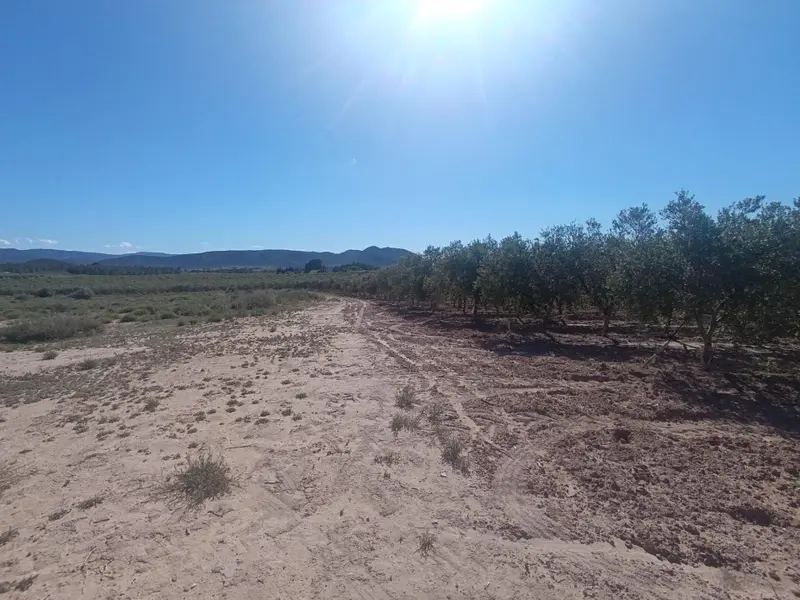 Landhaus in Desconocido, Costa Blanca — Foto 4 von 6
